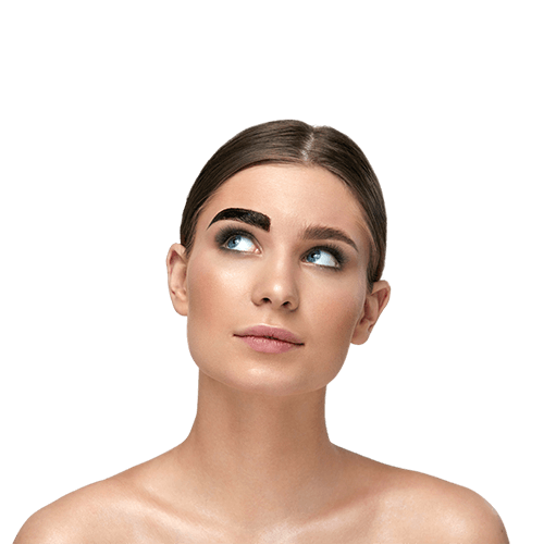 Brow Lamination Tutorials For Salon Professionals - Brow Lamination Guide - Eyelash & Eyebrow Tinting Supplies - Refectocil Australia